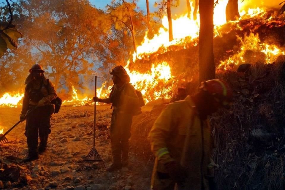 Protección Civil y Bomberos de Zapopan descarta riesgo para las casas de Pinar de la Venta.