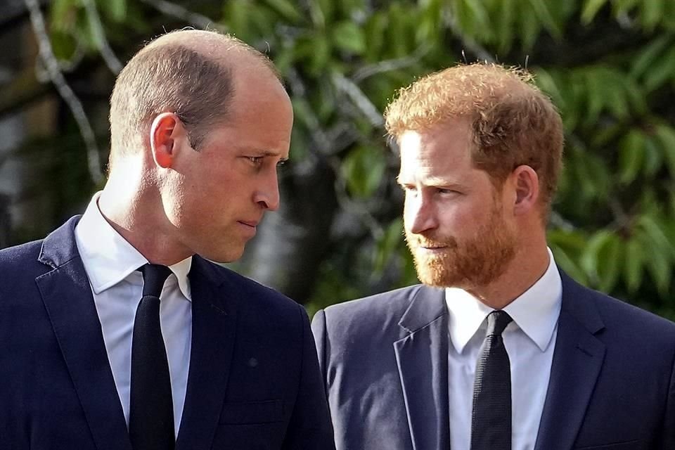 El premio Diana reunió a los Príncipes Guillermo y Enrique, por lo menos en video, para honrar a los jóvenes creadores a nivel mundial.