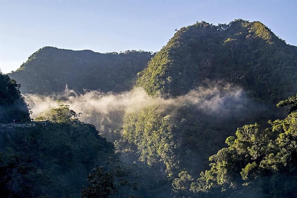 Selva de Tarapoto.