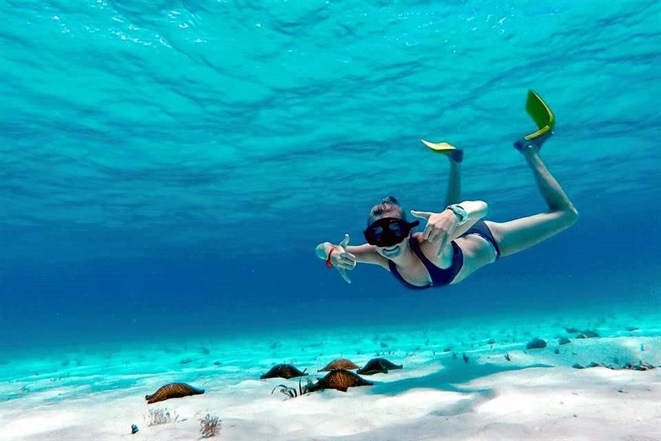 Turismo  de aventura, gastronómico o en pareja.