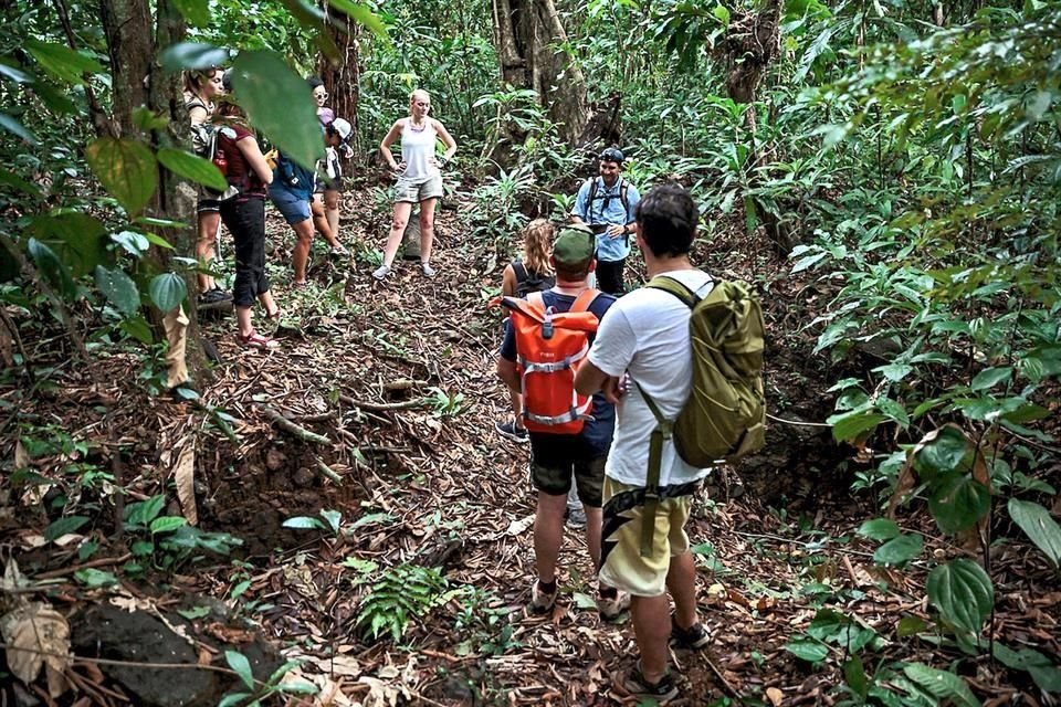 Isla Palenque.