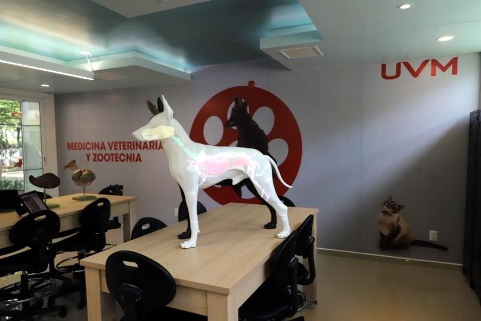 Laboratorios de Veterinaria en UVM Campus Zapopan.