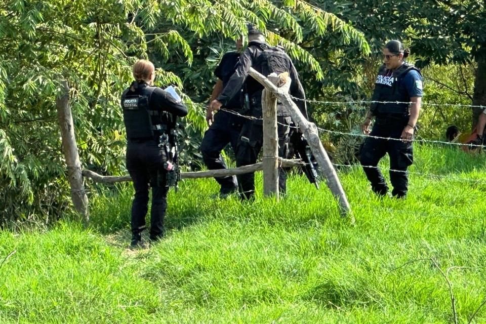 Una mañana tranquila se tornó tensa en la Colonia Las Juntas de Puerto Vallarta, cuando un cocodrilo emergió del Río Ameca con un cadáver.