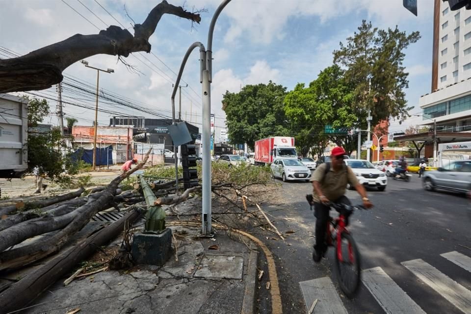 Los árboles caídos se atendieron a temprana hora por autoridades para evitar conflicto vial.