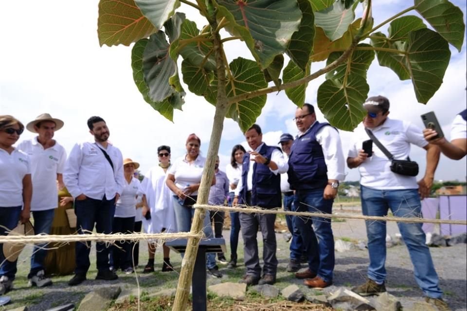 El arboretum está conformado por un sendero con 8 tipos de amates.