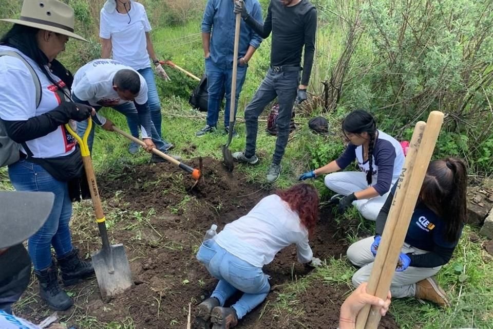 La CNDH solicitó medidas cautelares para proteger a las Madres Buscadoras de Jalisco, quienes acusaron amenazas para dejar de buscar fosas.