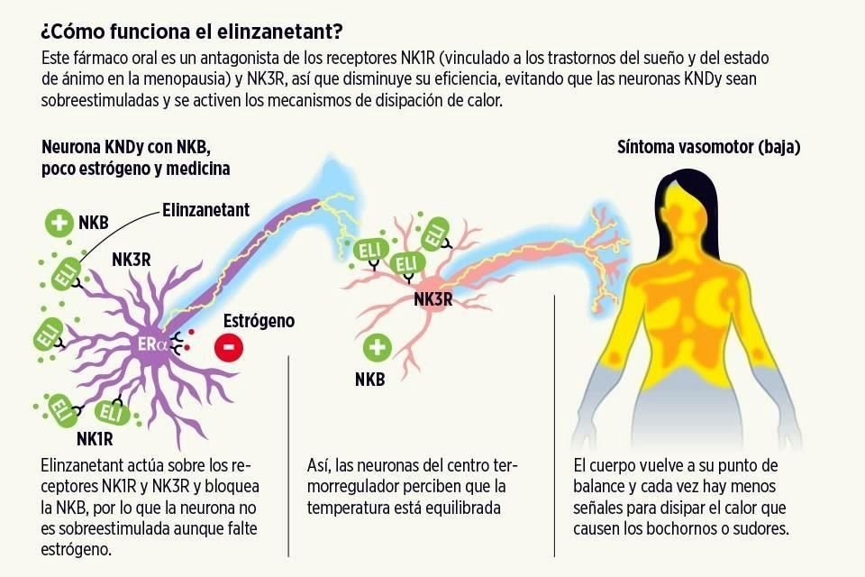 Así es cómo actúa la molécula en desarrollo de Bayer.