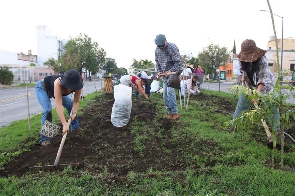 De no contar con los permisos correspondientes, los huertos urbanos comunitarios podría ser retirados y los agricultores sancionados.