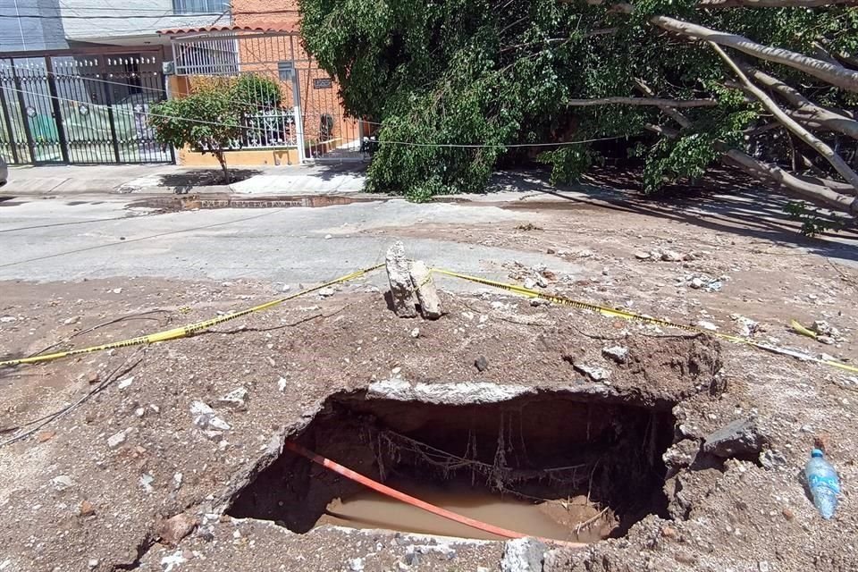 A pocos metros de donde cayó el árbol se encuentra un socavón y una fuga de agua.