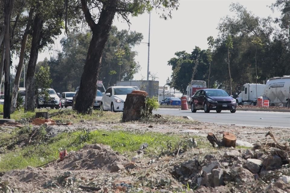 Ante la tala de árboles por obras en Periférico, en la Colonia Piramides, vecinos lanzaron petición en Change.org para exigir freno a esto.
