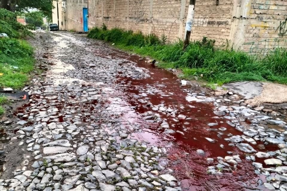 Sangre y restos de animales salen del drenaje en la colonia El Mirador, de acuerdo con denuncias de vecinos.