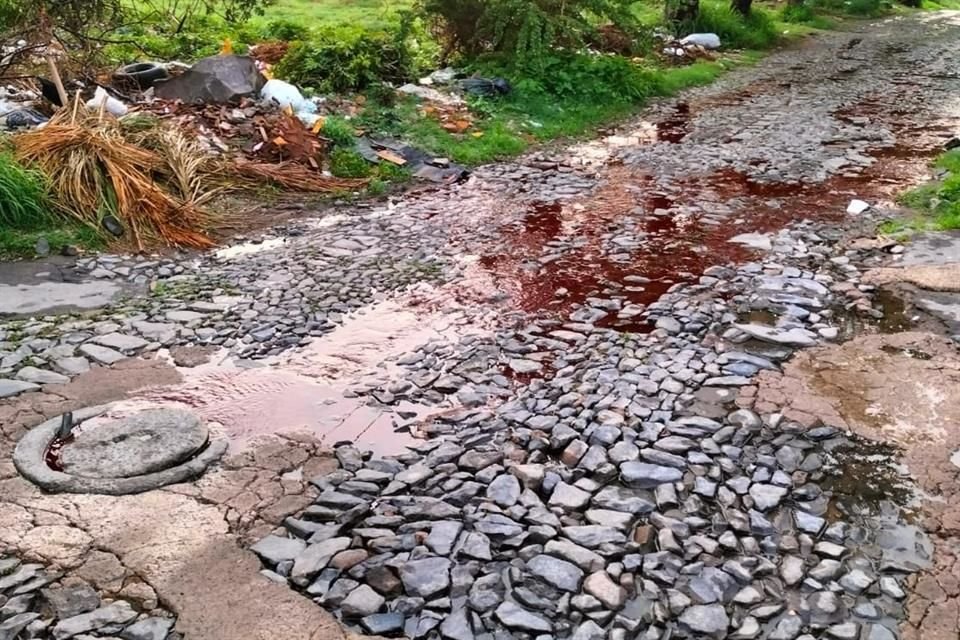 En el drenaje de la Calle Pedro Moreno, en el Centro de Tonalá, brotan aguas negras y vísceras y sangre provenientes del rastro municipal.