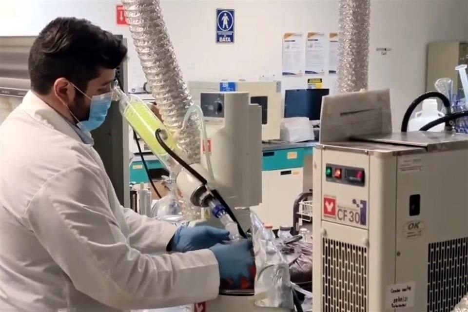 Gracias a este trabajo, Hernández Zazueta consiguió una beca para realizar el doctorado en Recursos y Tecnologías Agrarias, Agroambientales y Alimentarias en la Universidad Miguel Hernández de Elche, en Alicante, España.