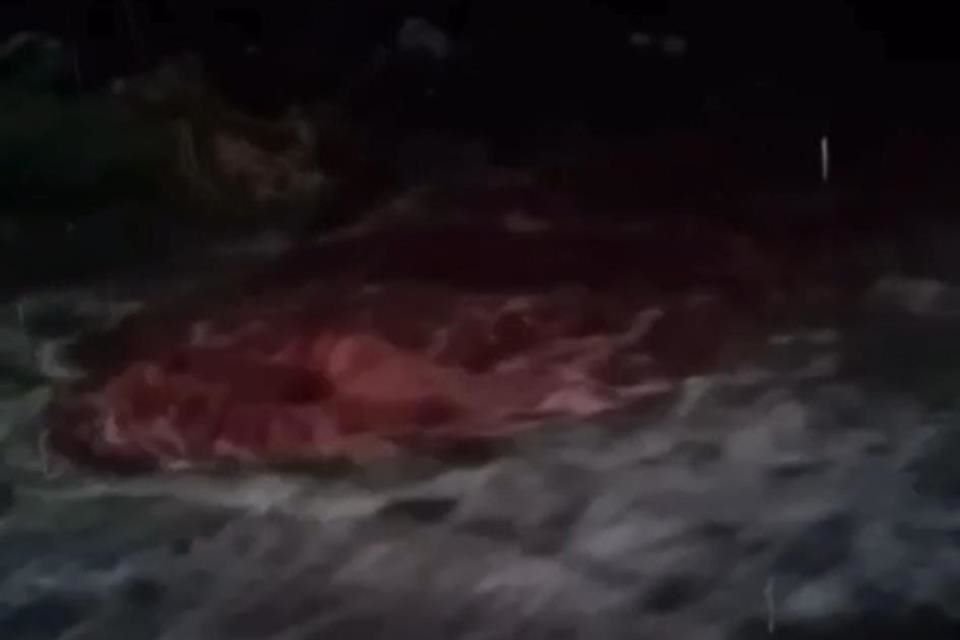 Una habitate de la zona aledaña al rastro de Tonalá registró en video el brote de sangre de las coladeras.