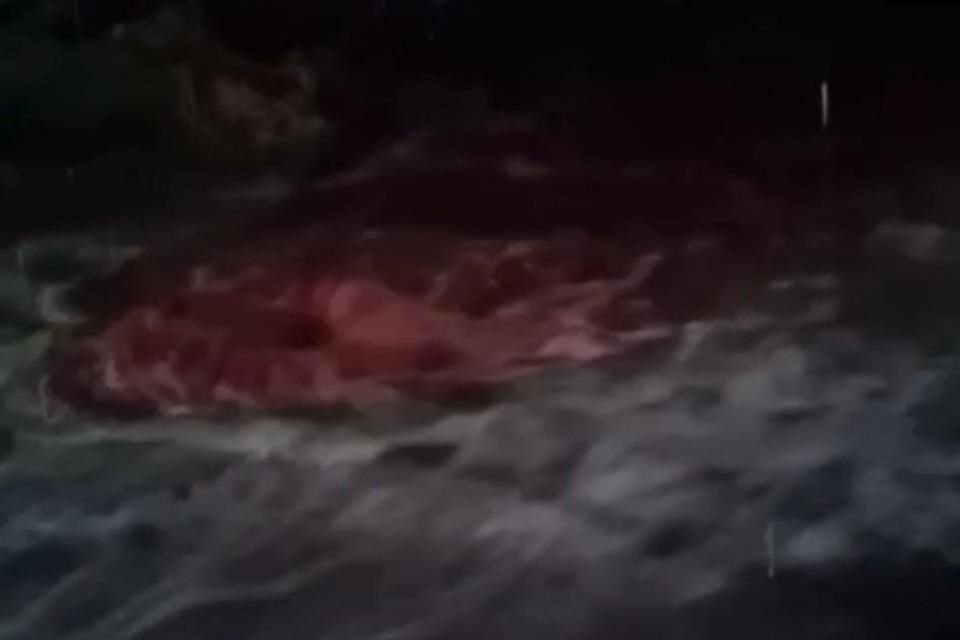 Una habitate de la zona aledaña al rastro de Tonalá registró en video el brote de sangre de las coladeras.