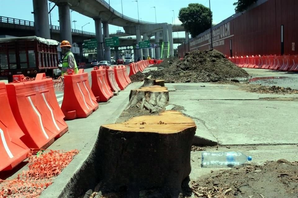 Para la construcción del Trolebús Elevado se talaron 53 árboles en Santa Martha, 103 en Valle de Chalco y 471 en Chalco, de 35 especies.