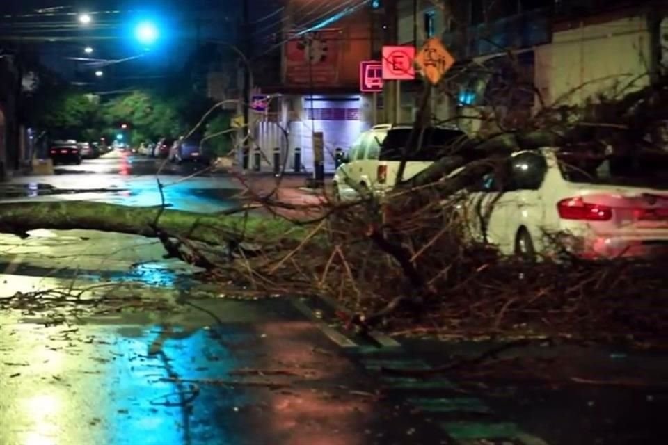 17 árboles cayeron sobre calles y avenidas de Guadalajara, tres sobre vehículos, dos sobre estructura, uno sobre cables y otro sobre lugares públicos.