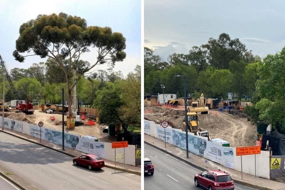 Dos imágenes de la zona, la primera con árbol de 30 metros de altura, en Julio; la segunda muestra cómo luce ahora el predio sin este.