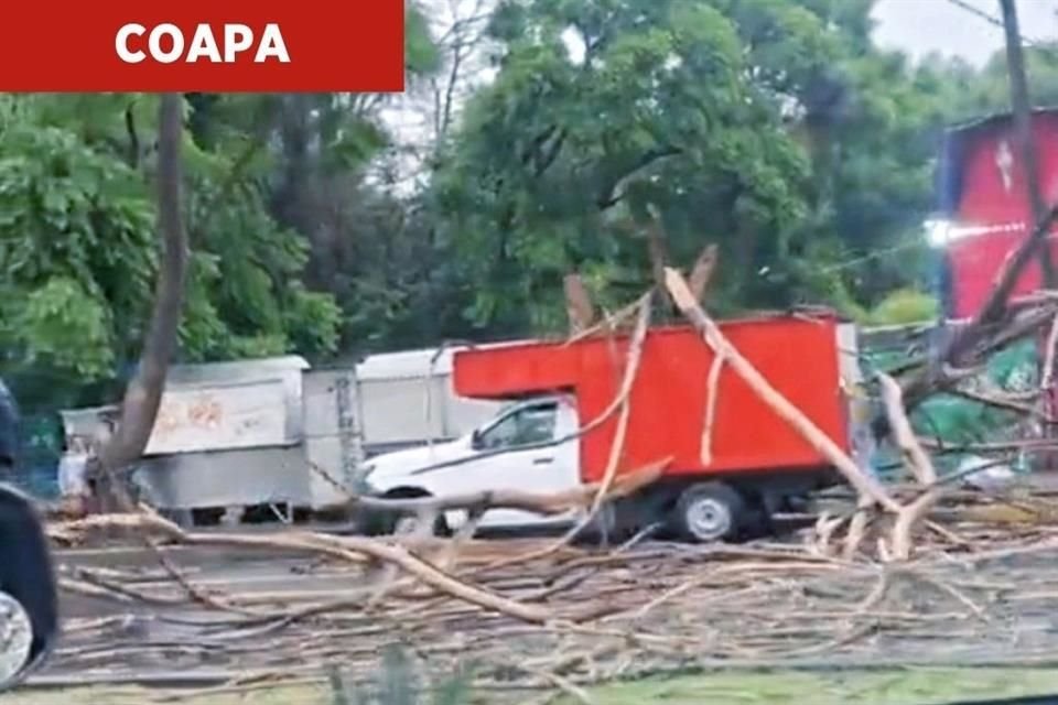 Lluvias en Coapa