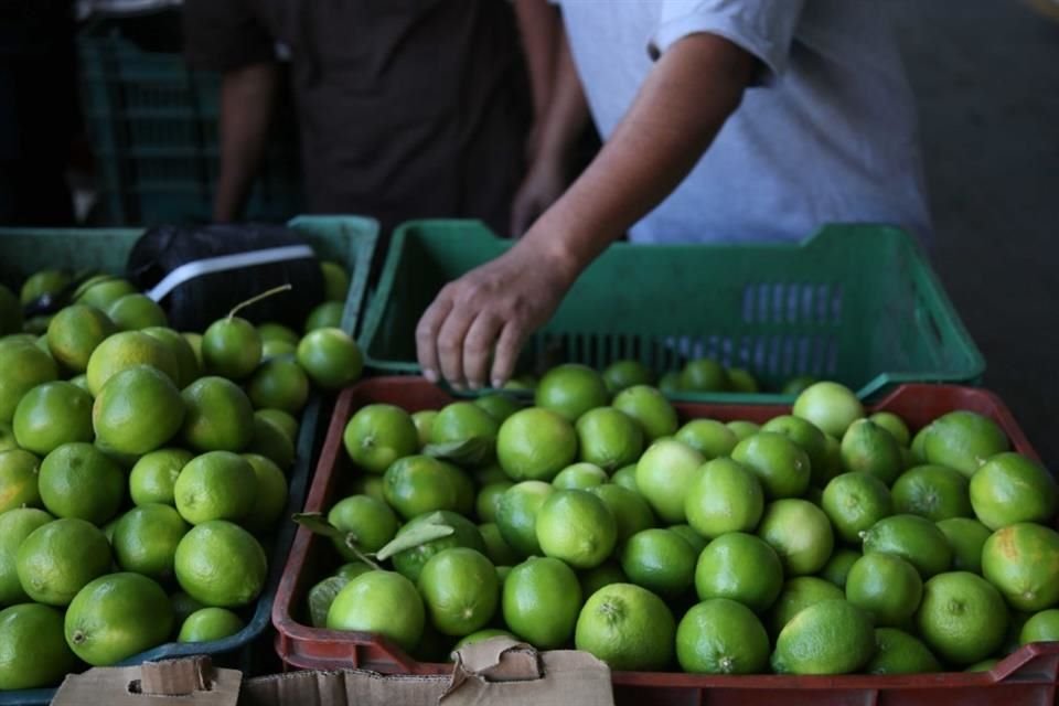 La crise sécuritaire affecte les producteurs agricoles du Mexique, notamment les producteurs de citrons du Michoacán.