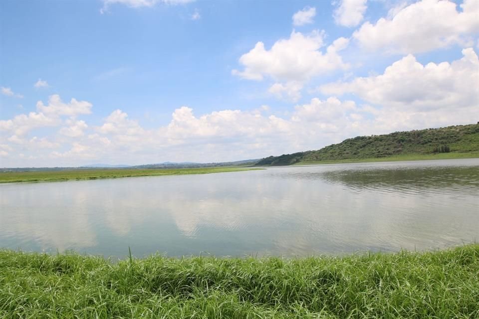 Mientras que el Lago de Chapala se ha visto beneficiado con las lluvias de la última semana, la Presa Calderón perdió líquido.