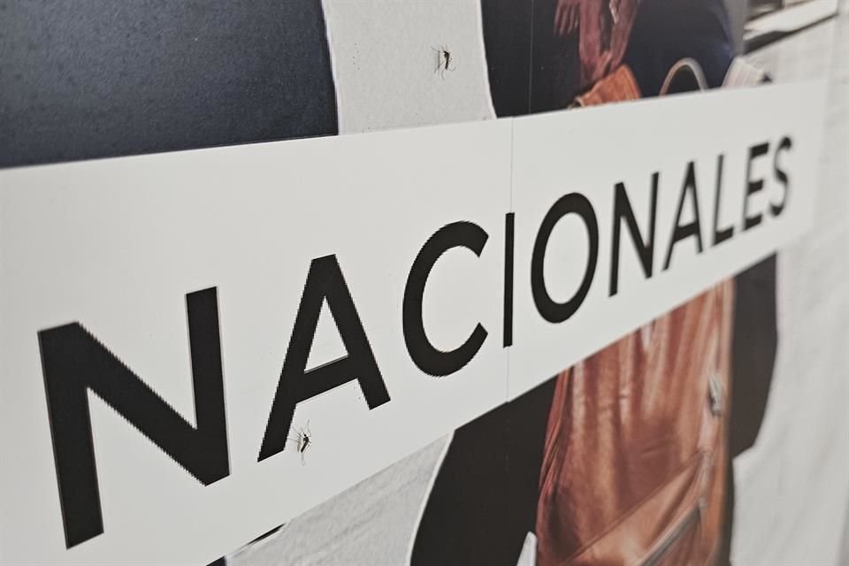 Usuarios del Aeropuerto de Guadalajara, Miguel Hidalgo y Costilla se incomodaron esta tarde por un evento poco común... zancudos y moscas.