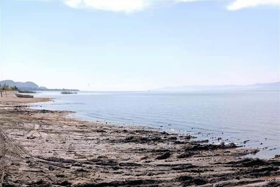 El Lago de Chapala está a poco menos de la mitad de su capacidad y especialistas no prevén que se recupere pronto, por estar en la parte baja de la cuenca del Río Lerma.