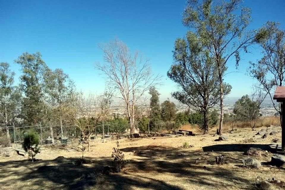 Los activistas señalan que han recibido amenazas tras denunciar que el Gobierno de Tonalá avaló cambios en el uso de suelo de la zona, lo que pone en riesgo al área verde.