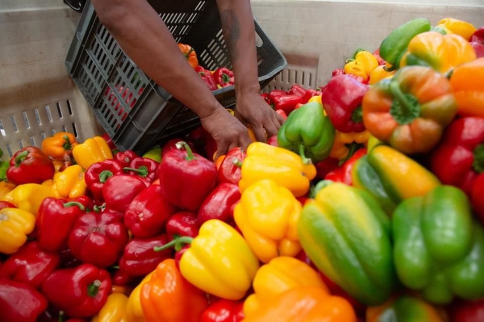 Con la entrega de despensas se busca combatir la pobreza alimentaria.