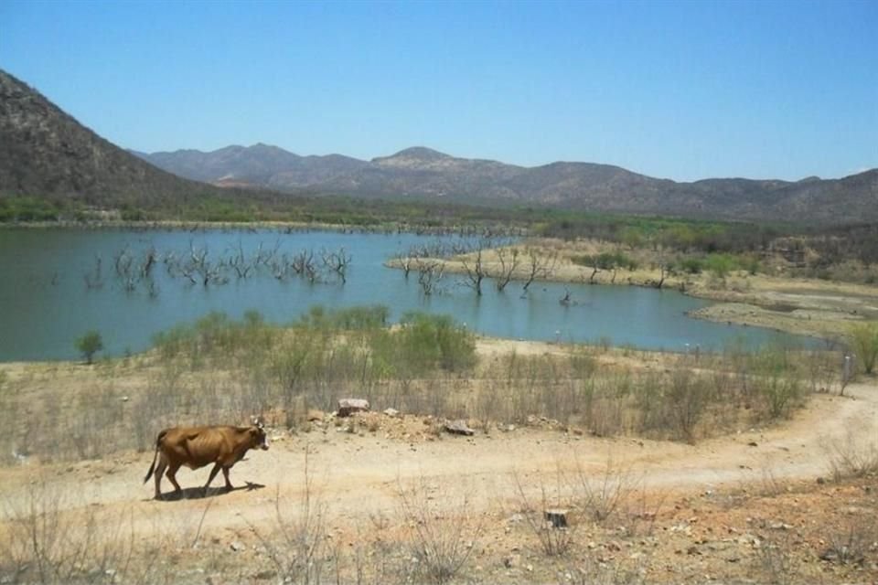 Se estima que se vertieron al medio ambiente 40 mil metros cúbicos de sulfato de cobre acidulado.