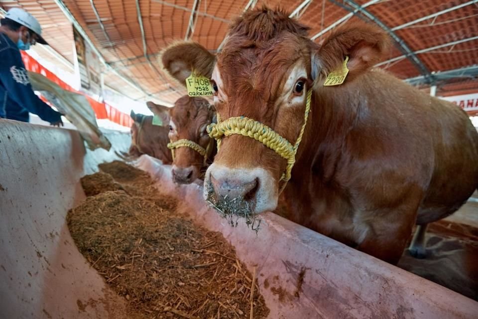 Agricultura y ganadería fue uno de los sectores económicos que más generó empleos.