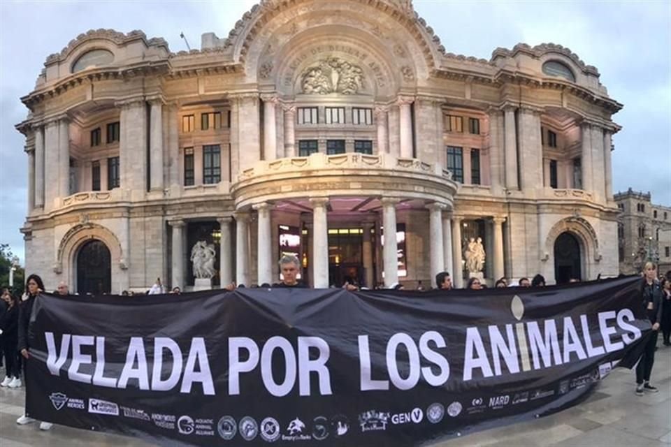 Los activistas también criticaron la violencia a la que se somete a los animales en granjas, zoológicos y laboratorios. 