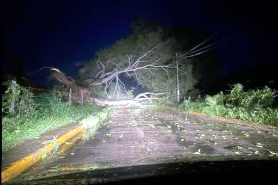 Los primeros efectos del huracán 'Lidia' han provocado daños en costas de Nayarit, sobre todo en Bahía de Banderas.