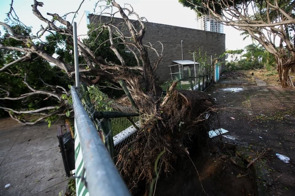 Al menos 80 árboles caídos, calles inundadas y falta de energía eléctrica en 30 por ciento de Puerto Vallarta, dejó el paso del huracán Lidia.