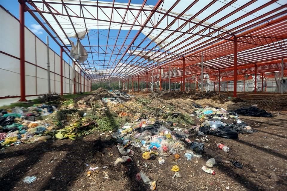 A la planta de compostaje La Guancha llegan los desechos totalmente revueltos.