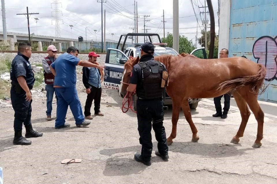 La misión de esta nueva unidad será atender los casos de maltrato animal que se presenten en Ecatepec.