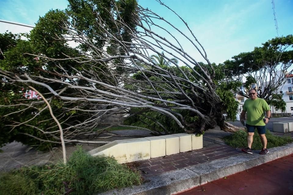 Más de 100 árboles caídos a lo largo y ancho del Municipio, corte de energía eléctrica y hasta el derrumbe de un puente peatonal fue parte del escenario con el que amaneció Puerto Vallarta.