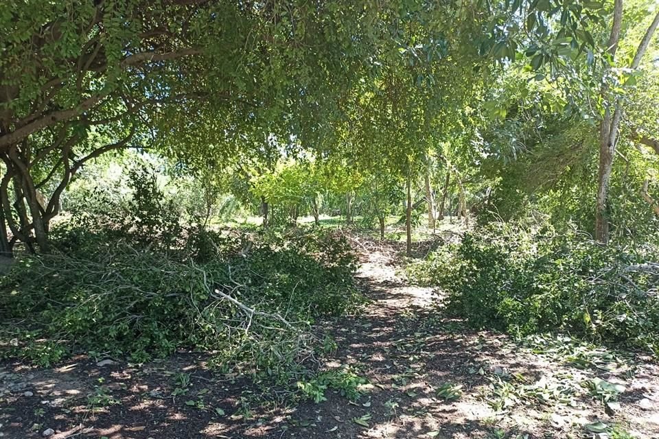 Mientras se revisa el daño que dejó el Huracán 'Lidia', el estero El Salado permanecerá cerrado por lo menos una semana.