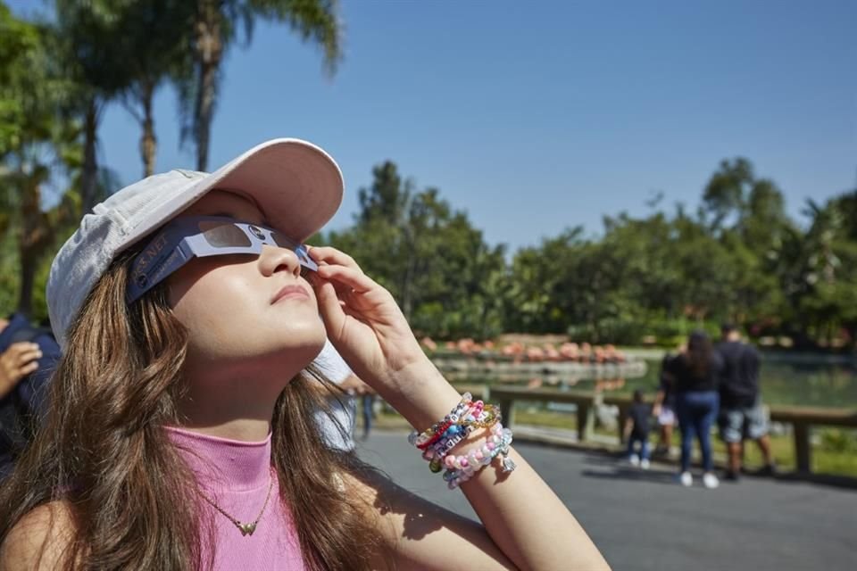 Centenares de tapatíos pudieron observar de manera seguro el eclipse solar en el Zoológico de Guadalajara.