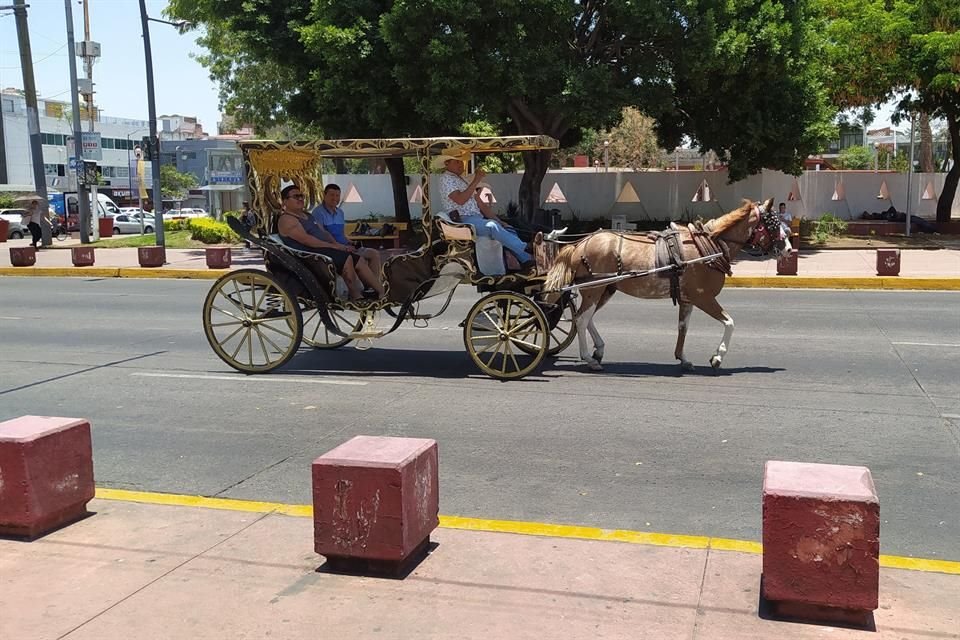 A  seis años de que el Gobierno de GDL hizo cambios al reglamento para prohibir vehículos tirados por animales, se podría cumplir la meta.