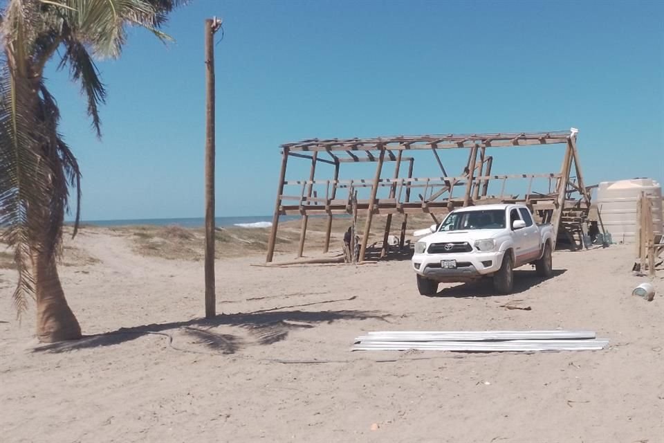 El campamento de La Gloria, de la UdeG, perdió 80 por ciento de los nidos de tortuga.