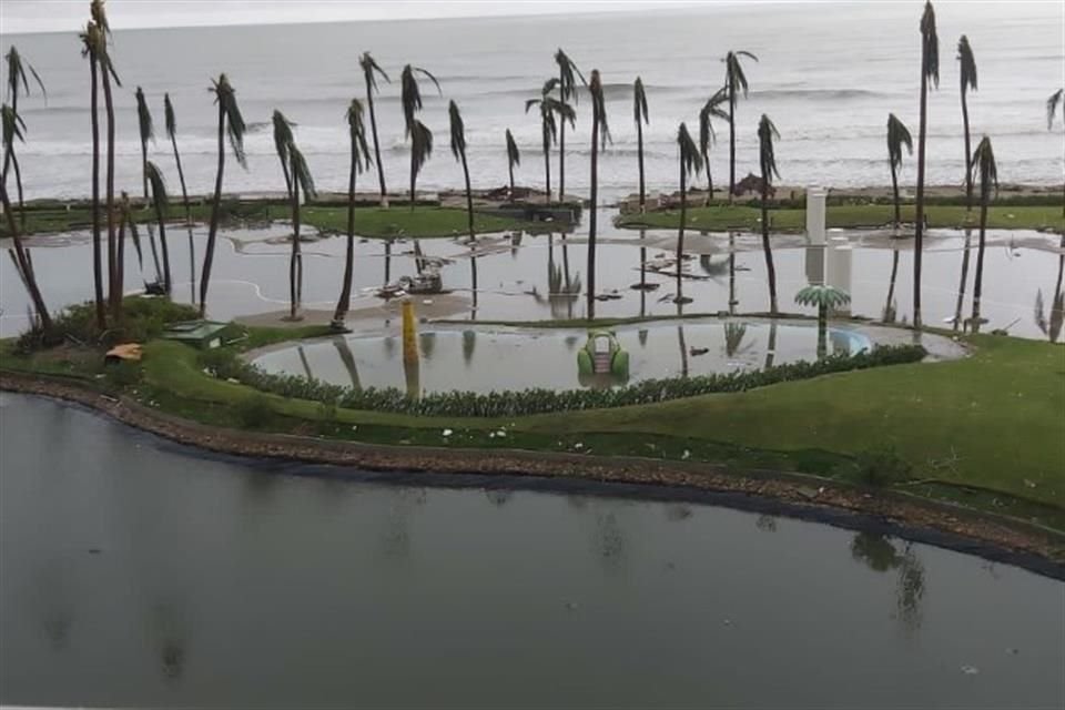 Palmeras afectadas en la playa de Acapulco tras el paso del huracán 'Otis'.