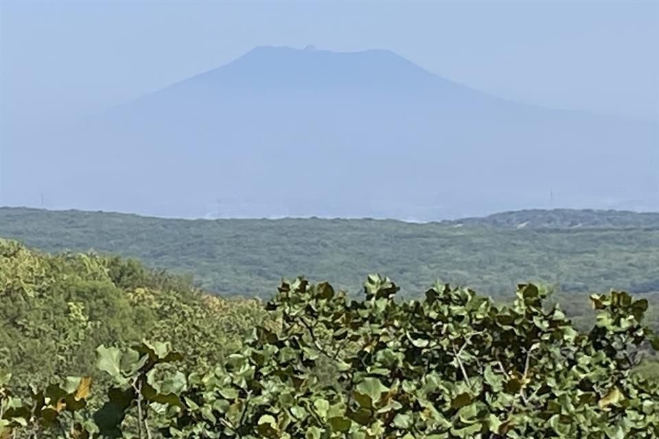 Vista panoramica del Bosque La Primavera.