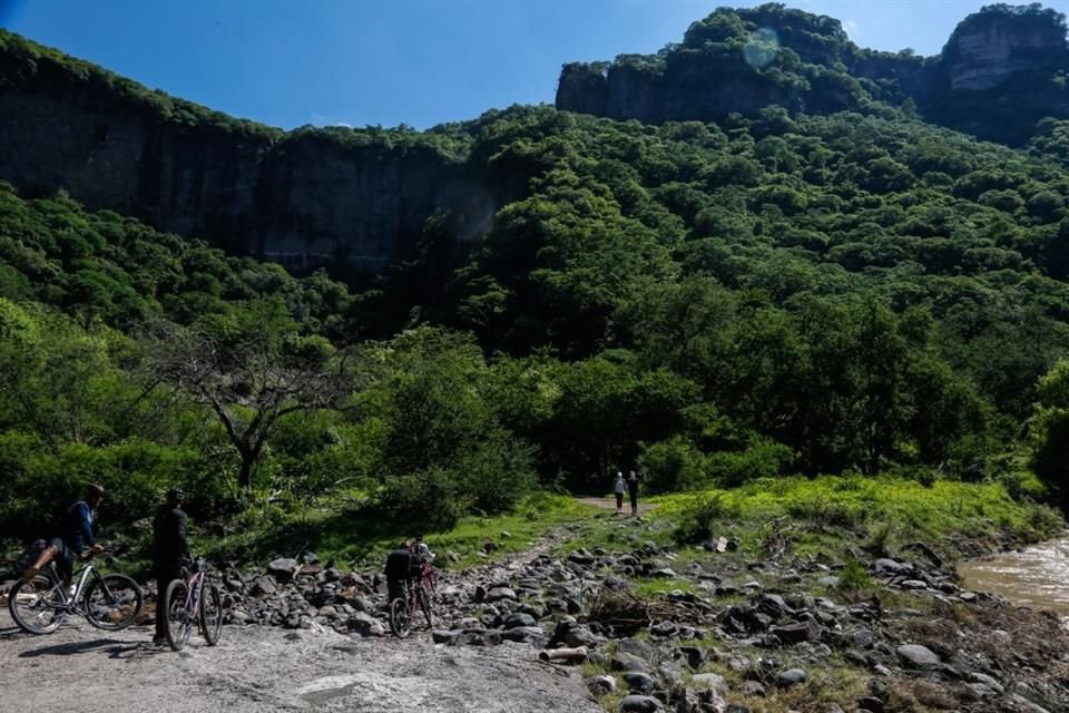 En la Barranca de Huentitán se han tenido reportes de reptiles, anfibios y aves ajenos a la zona.