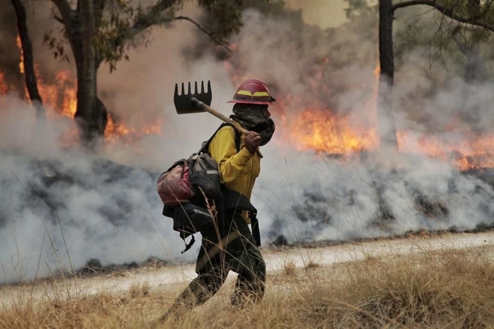El récord de incendios forestales de este año sólo significa para los brigadistas un mínimo aumento presupuestal y recortes en recursos.