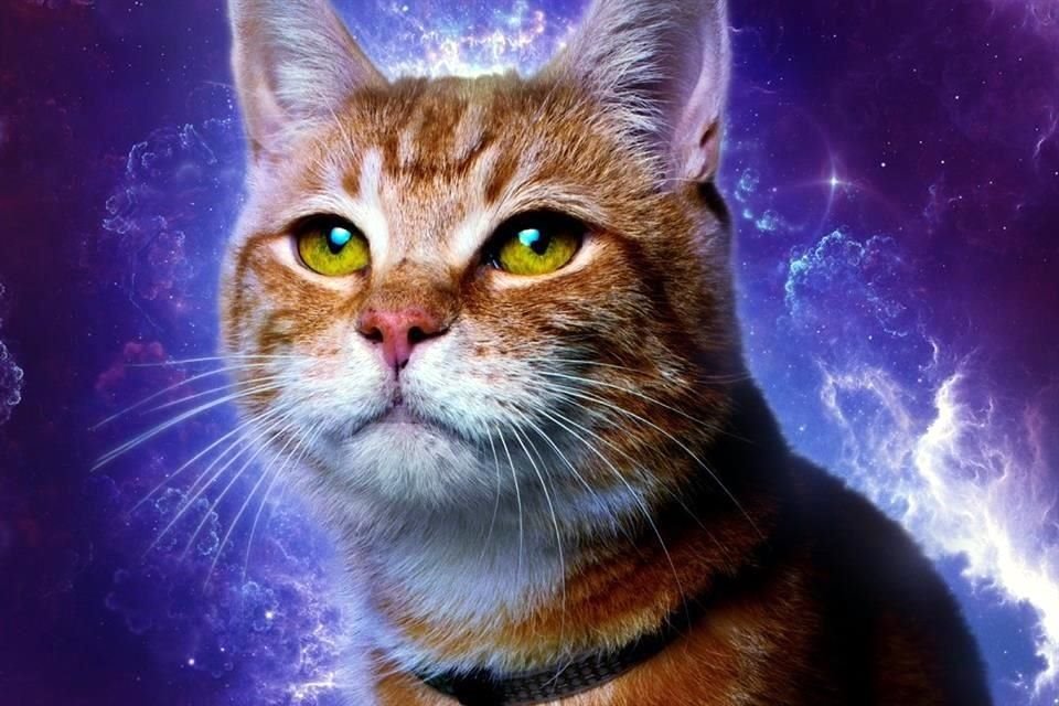 El gatito extraterrestre Goose vuelve para enternecer el corazón de la audiencia.