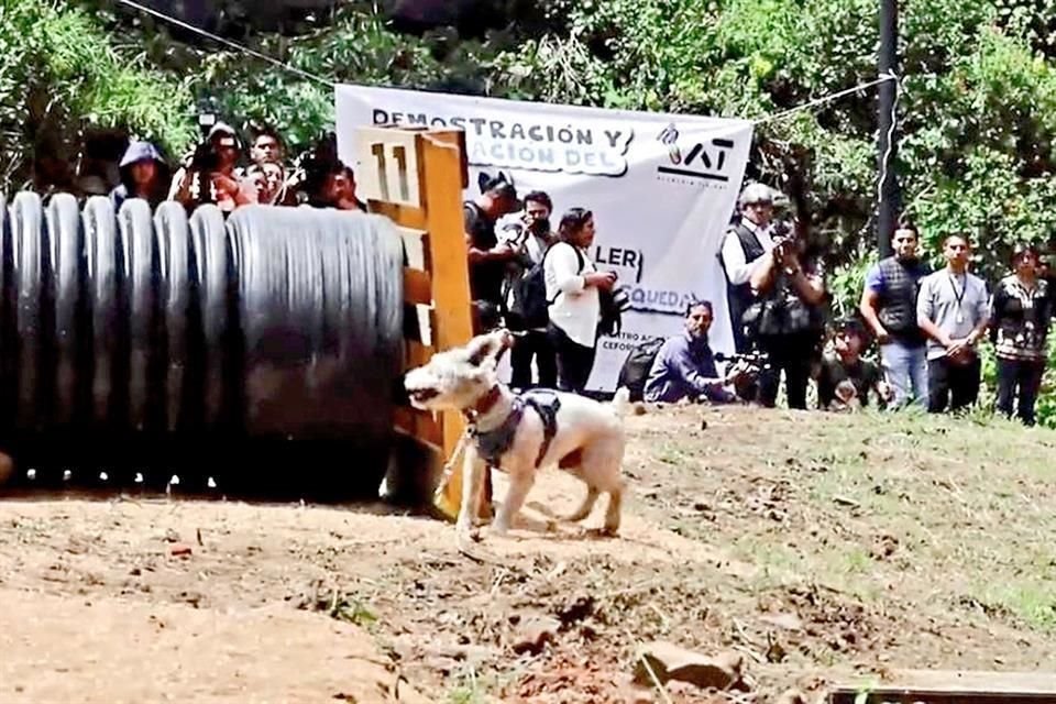 El taller será impartido por la Alcaldía Tlalpan.