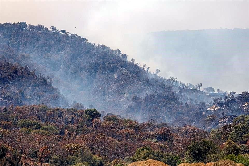 La organización Anillo Primavera estima con imágenes satelitales en tiempo real que el polígono siniestrado oscila entre seis mil y siete mil hectáreas.