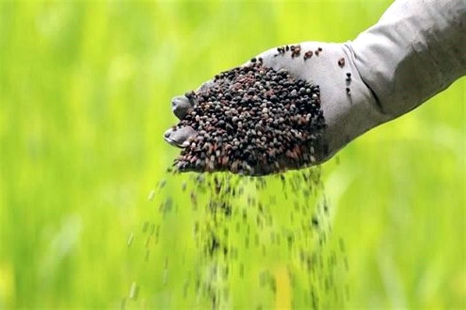 Antes de que comience a descender la temperatura y se tengan cifras de un dígito, aprovecha para abrigar las plantas de tu jardín.