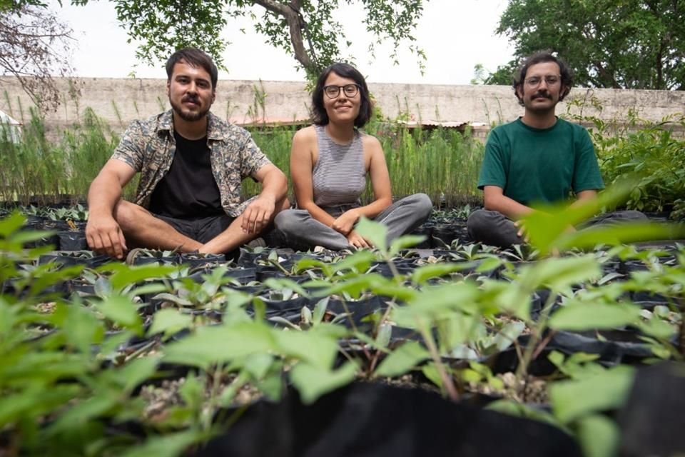 David Mendoza, Damaris Chávez y Dante Figueroa, integrantes del colectivo Plantas de Aquí.